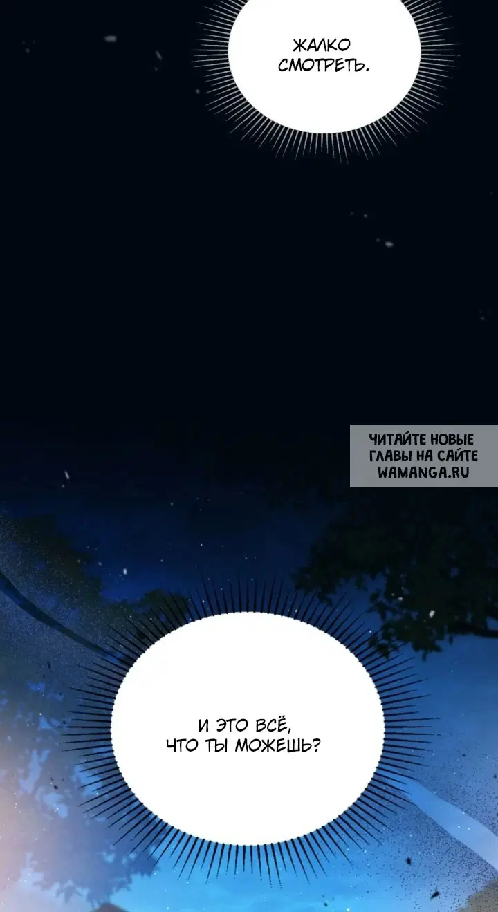Page 49.000