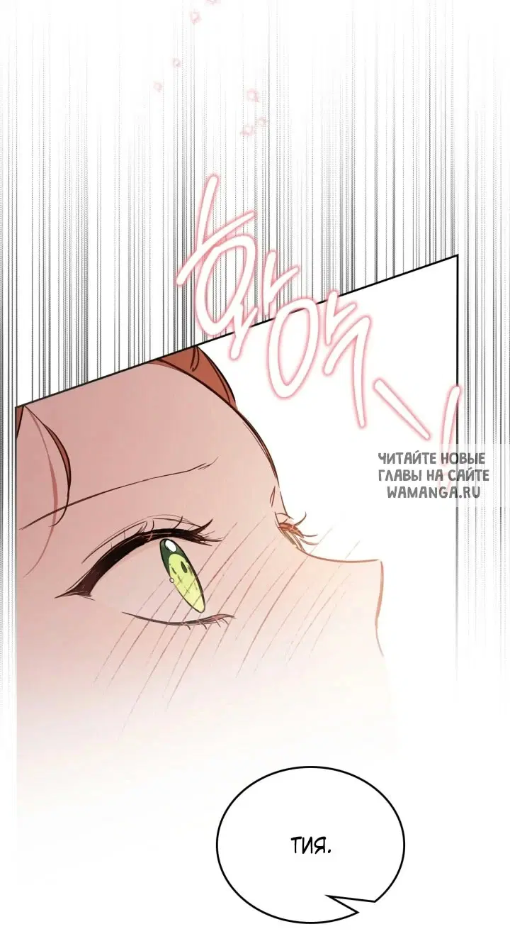 Page 43.000