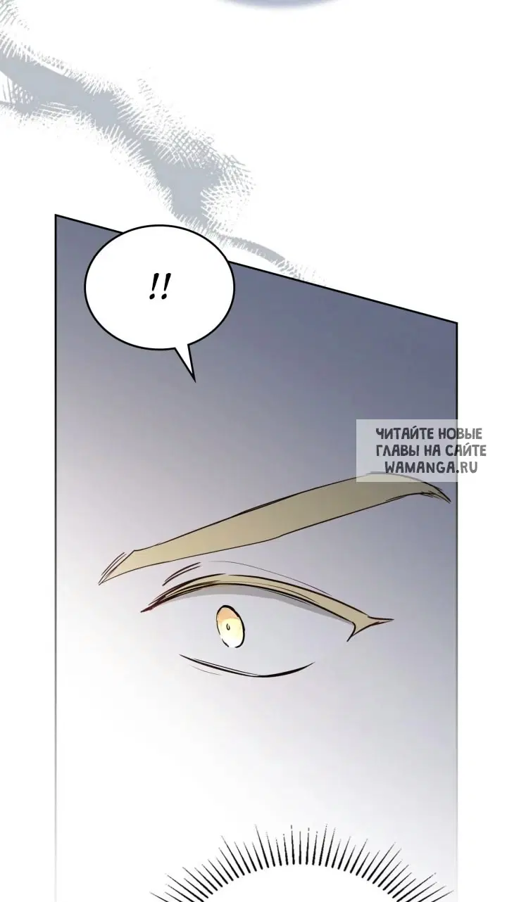 Page 58.000