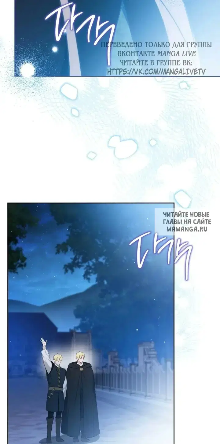 Page 50.000