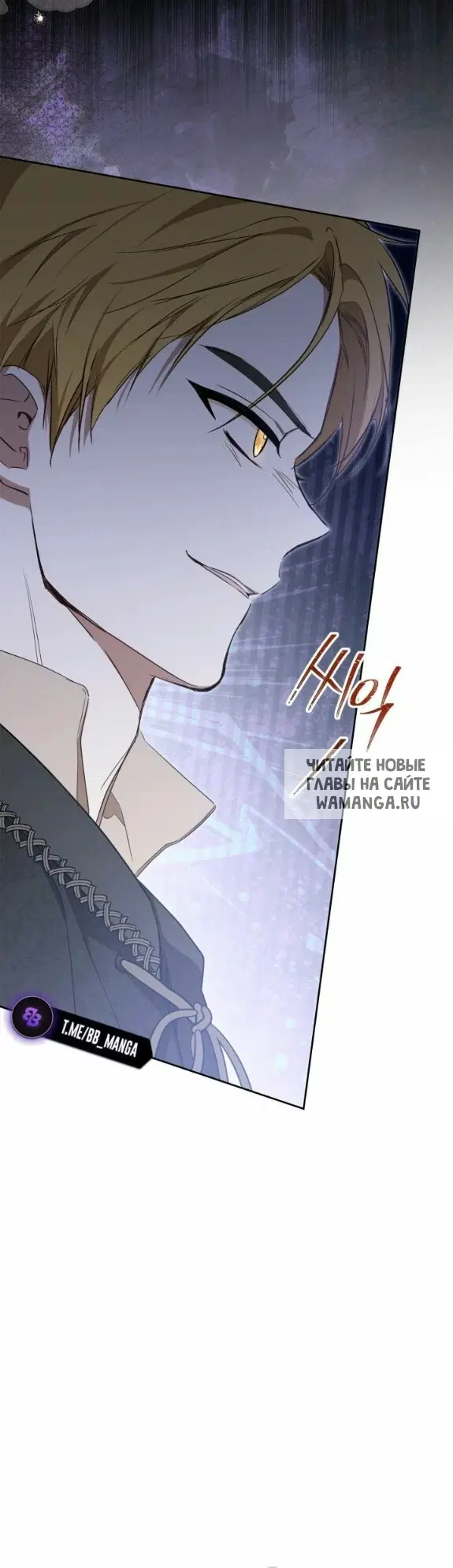 Page 51.000