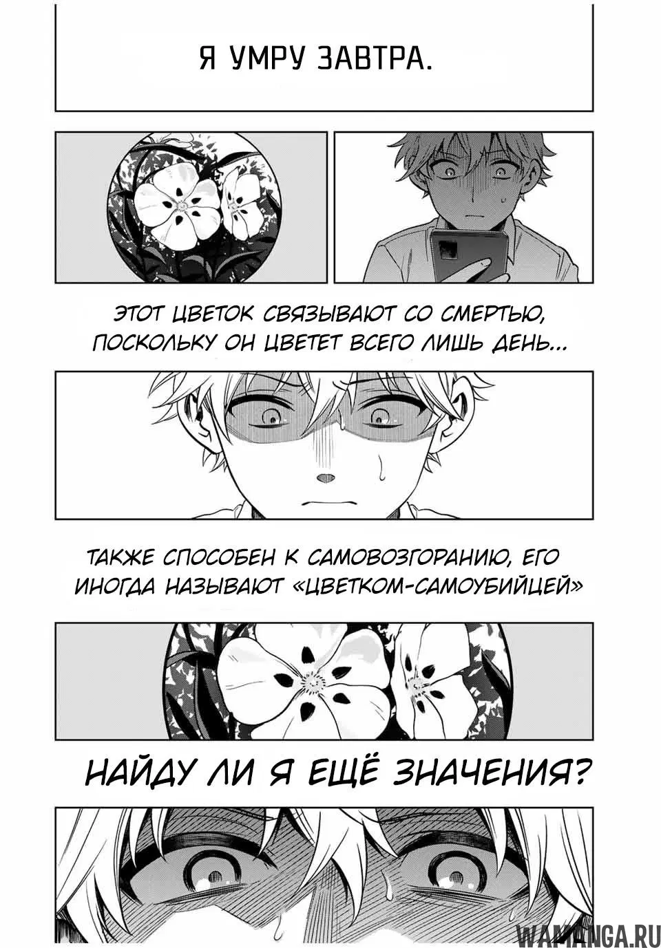 Page 8.000