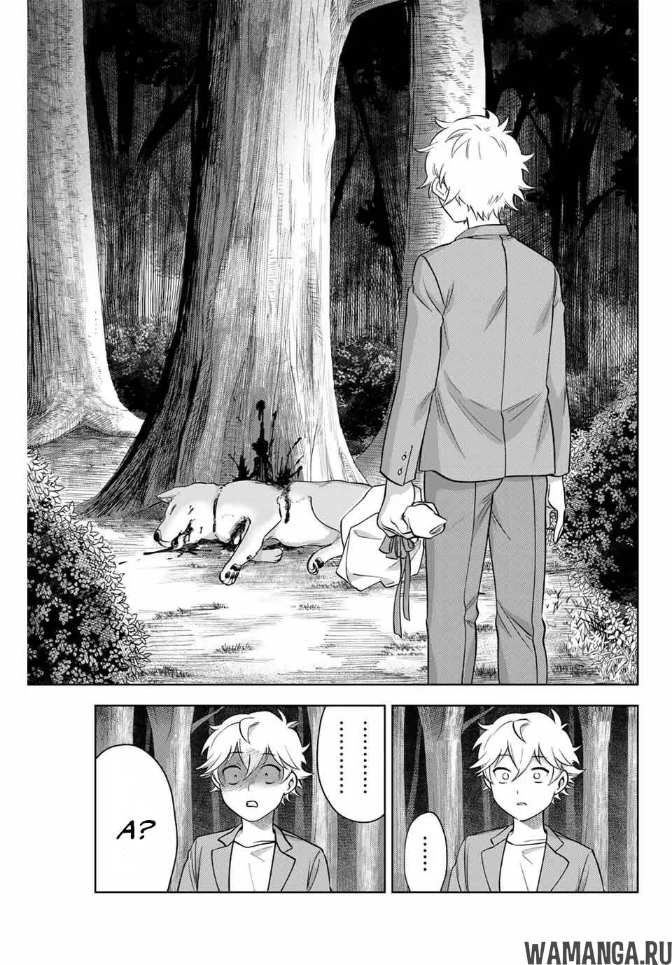 Page 49.000