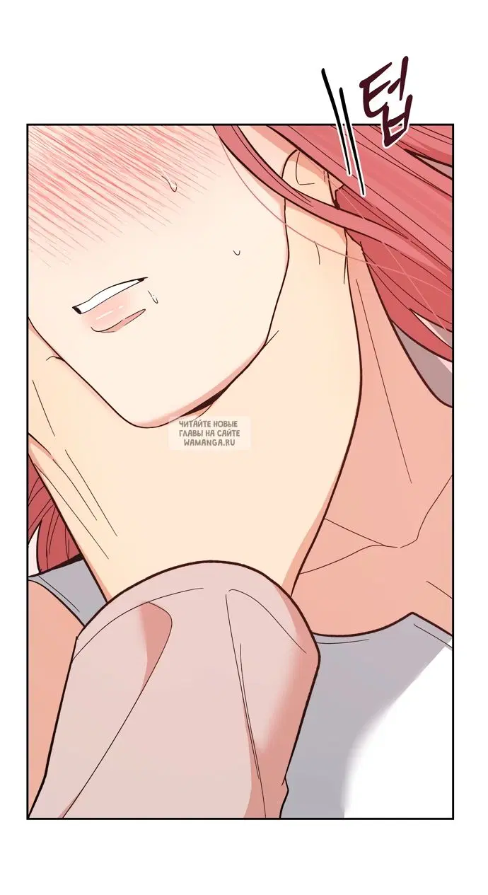 Page 50.000