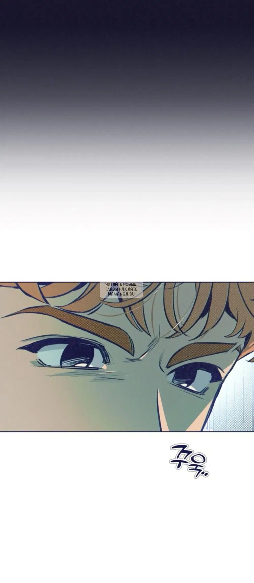 Page 31.000