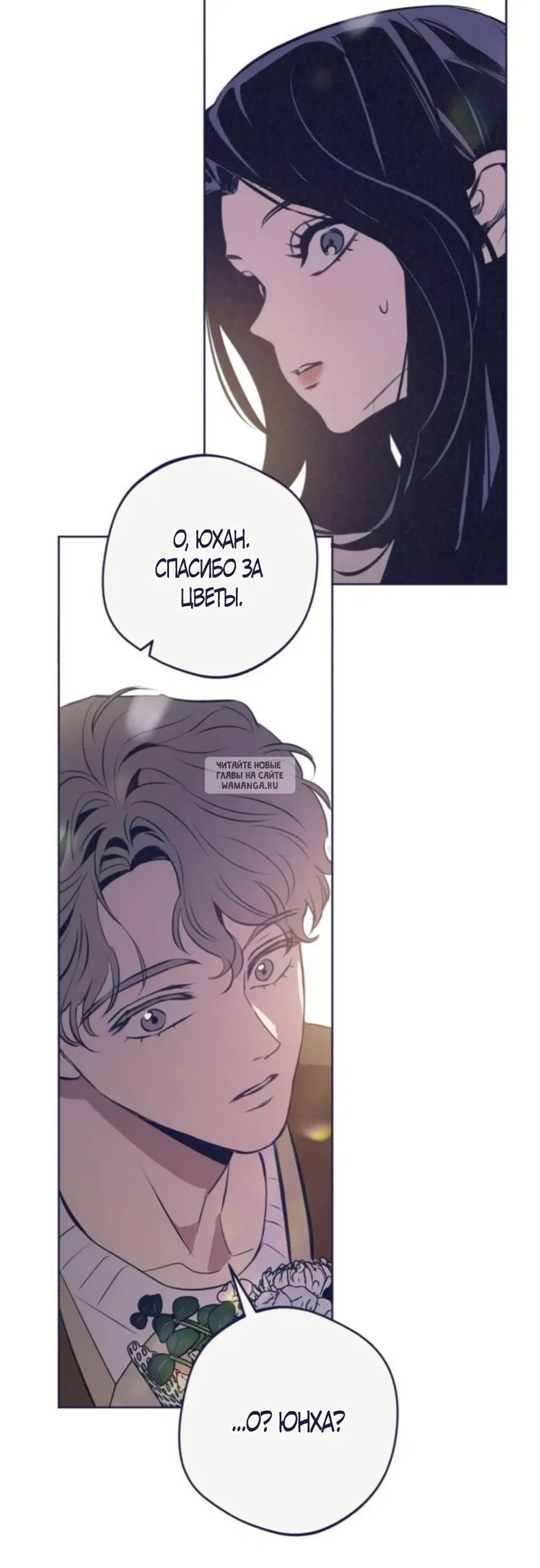 Page 41.000