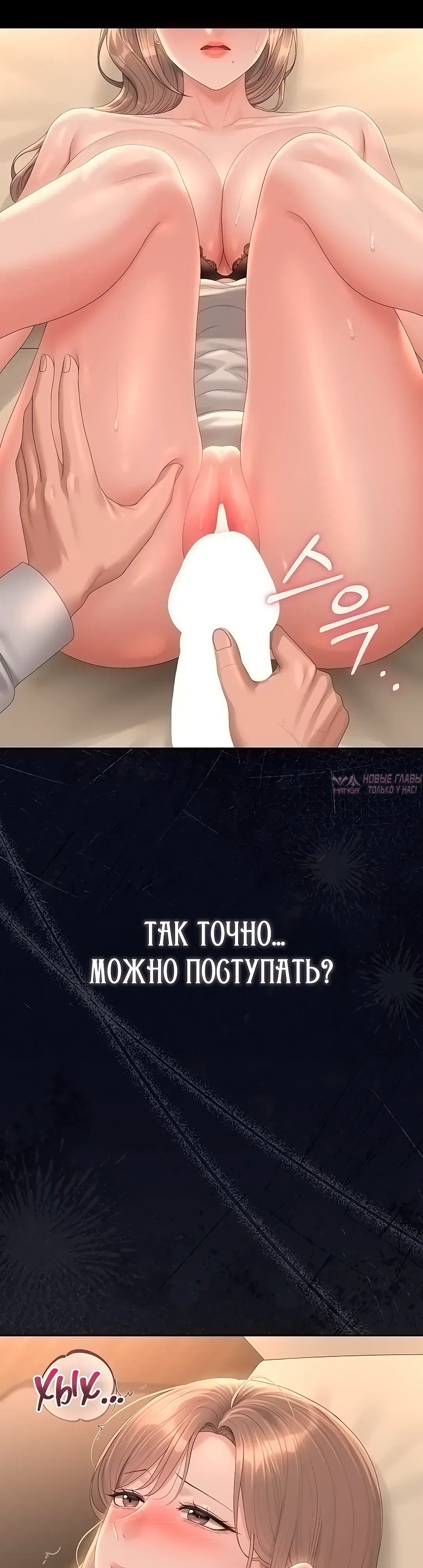 «Стал управляющим дома», глава 42, страница 45.000000000