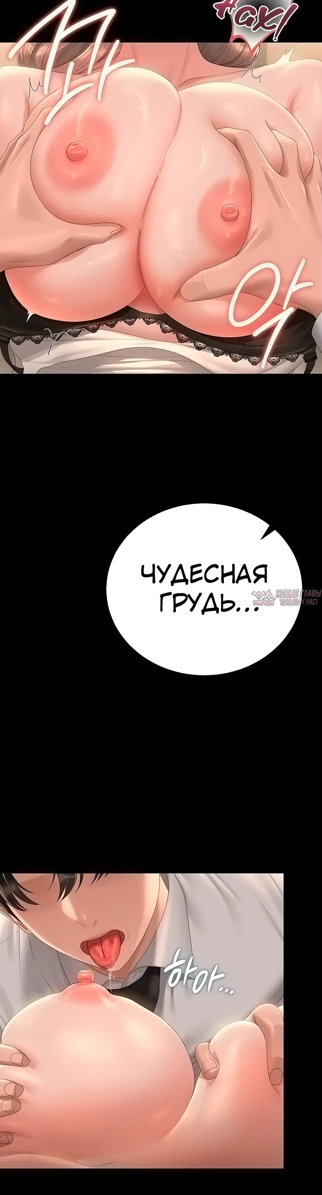 «Стал управляющим дома», глава 42, страница 26.000000000