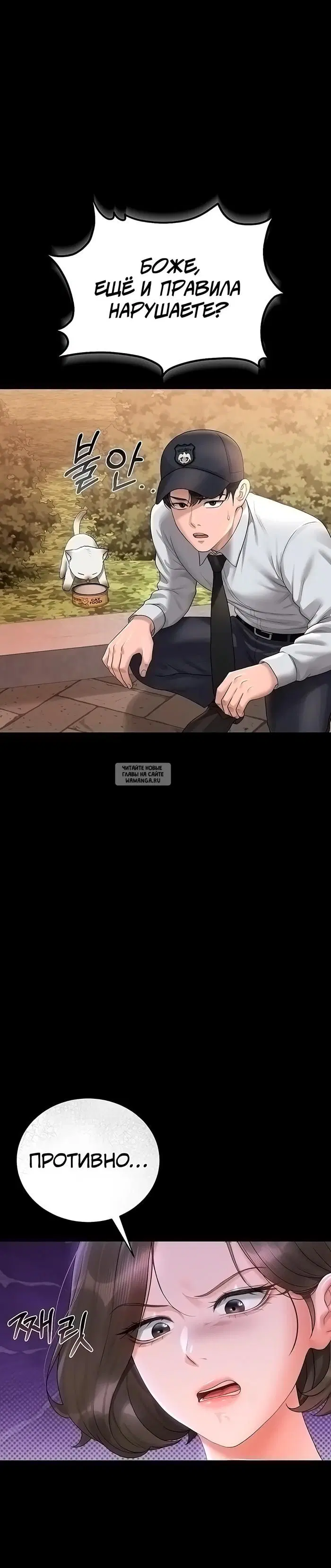 Page 53.000