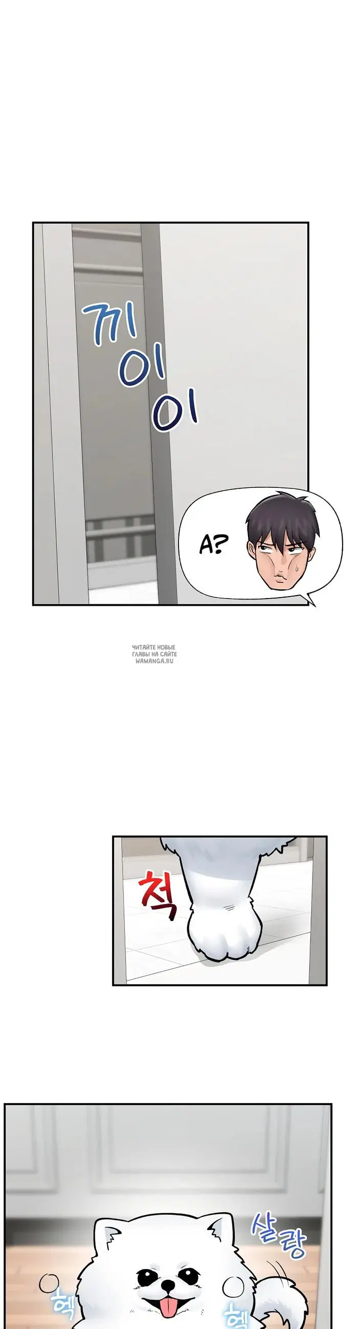 Page 19.000
