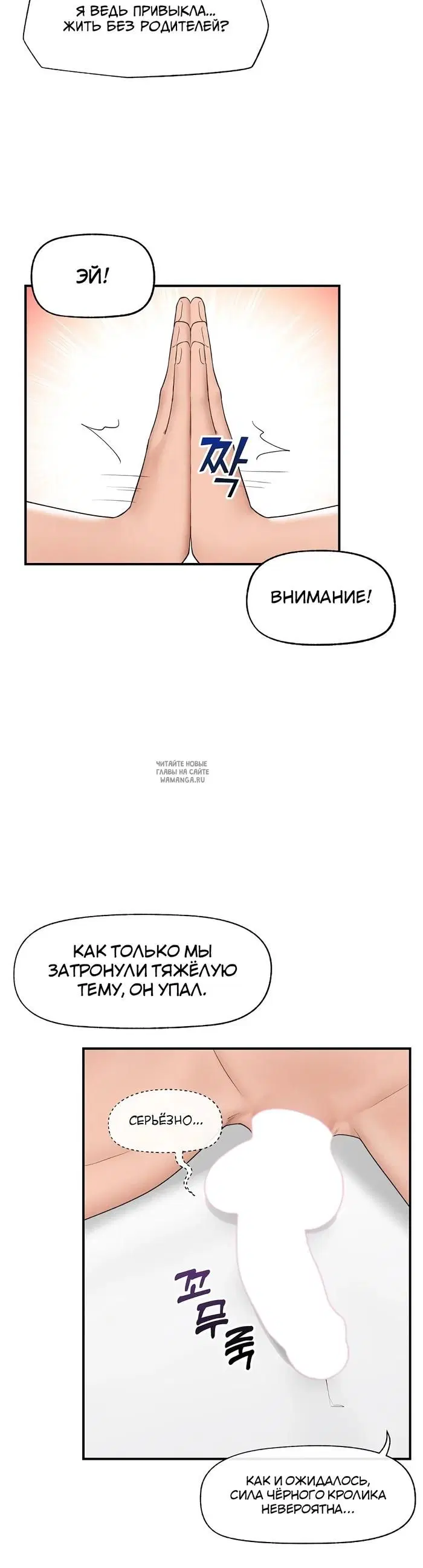 Page 31.000