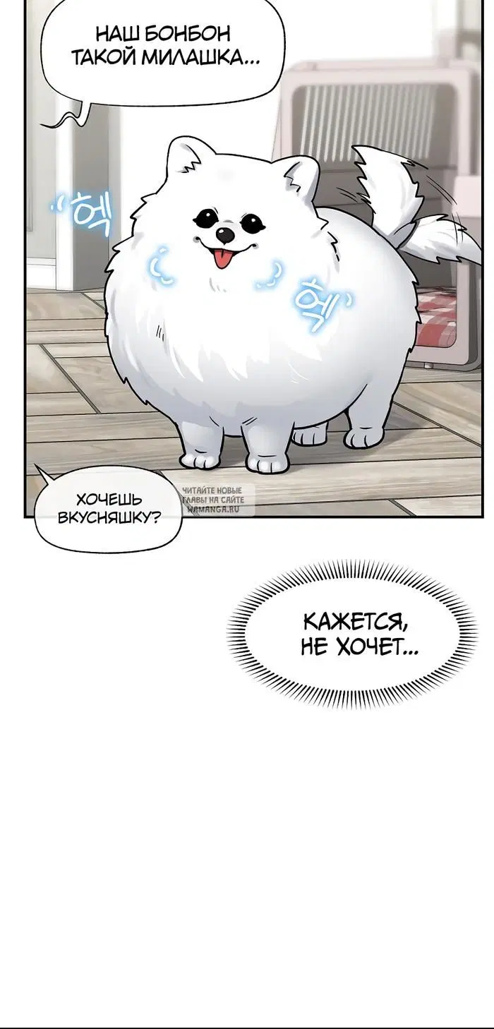 Page 43.000
