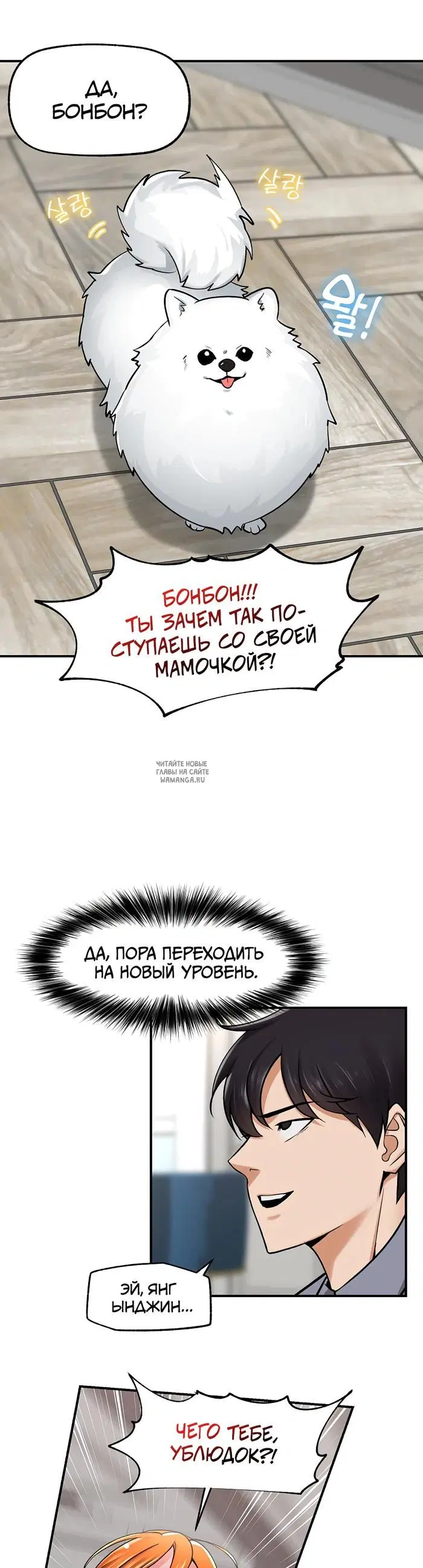 Page 61.000