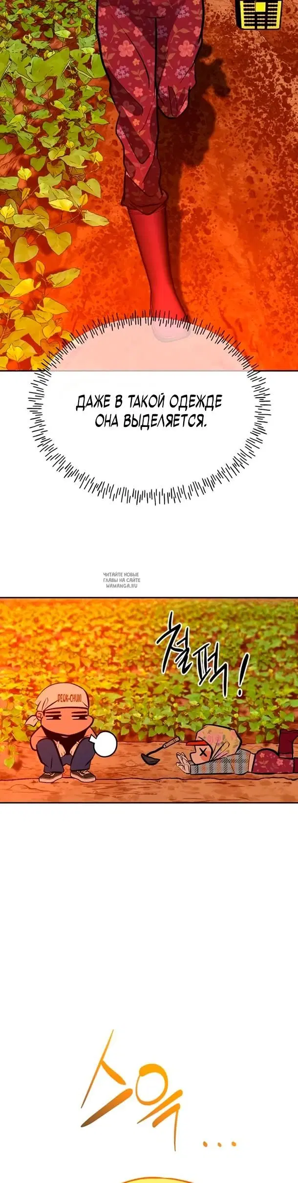 Page 24.000