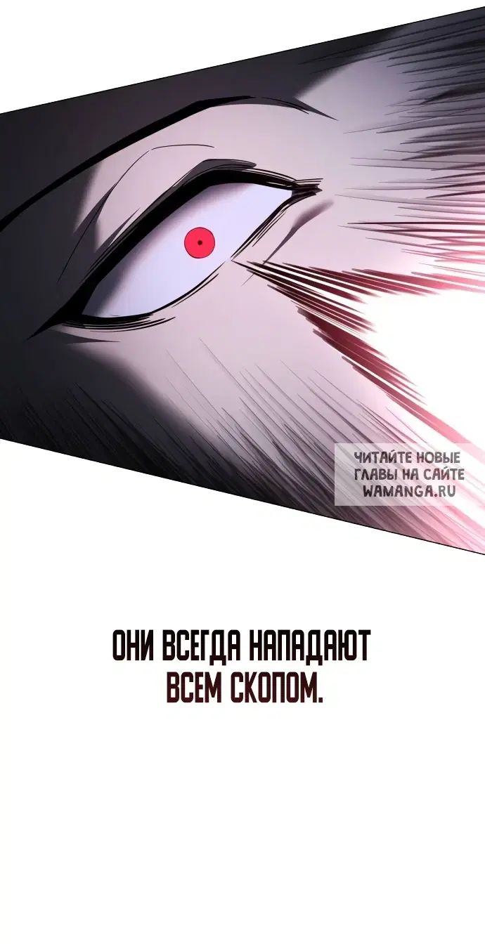 Page 55.000