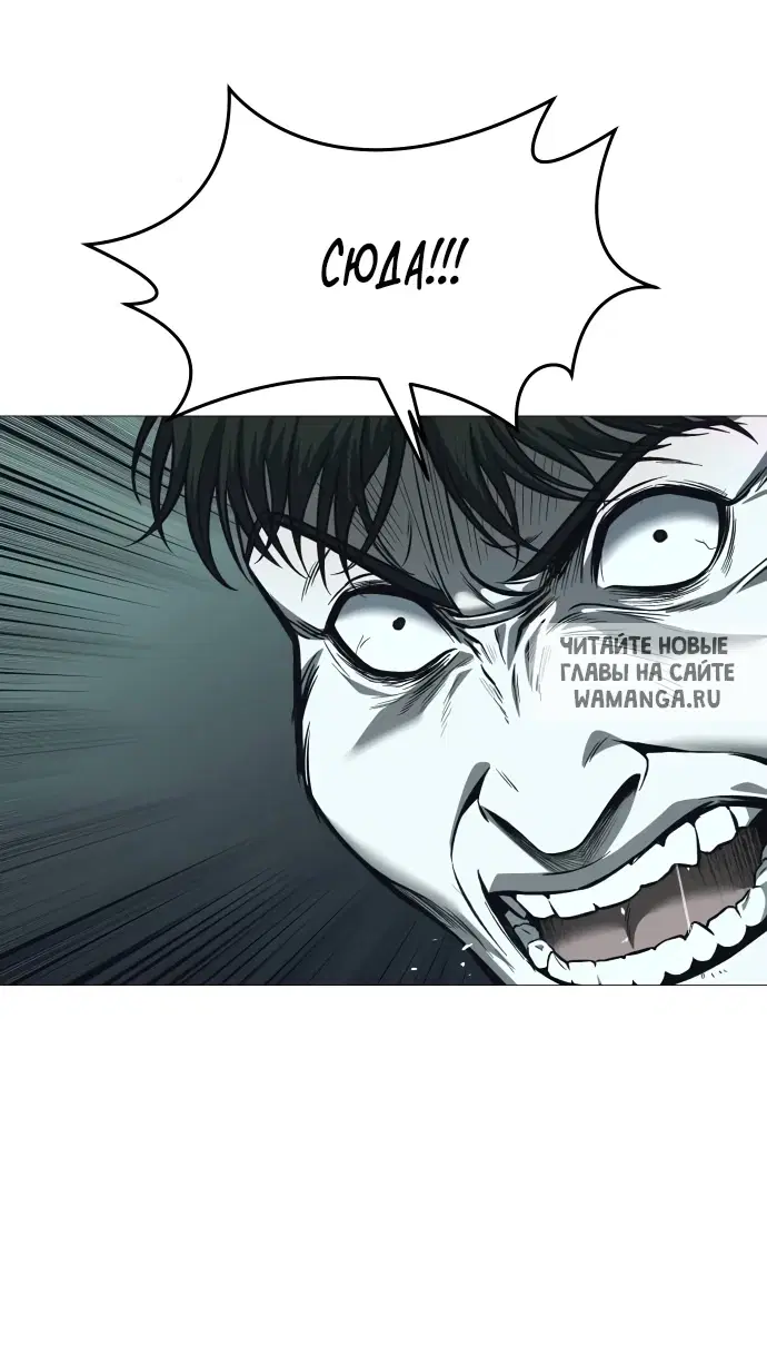 Page 51.000