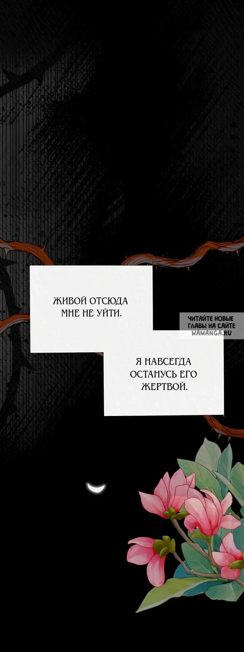 Page 20.000