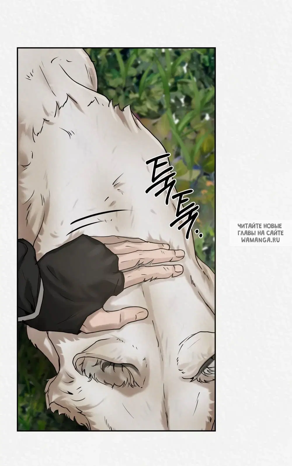 Page 42.000