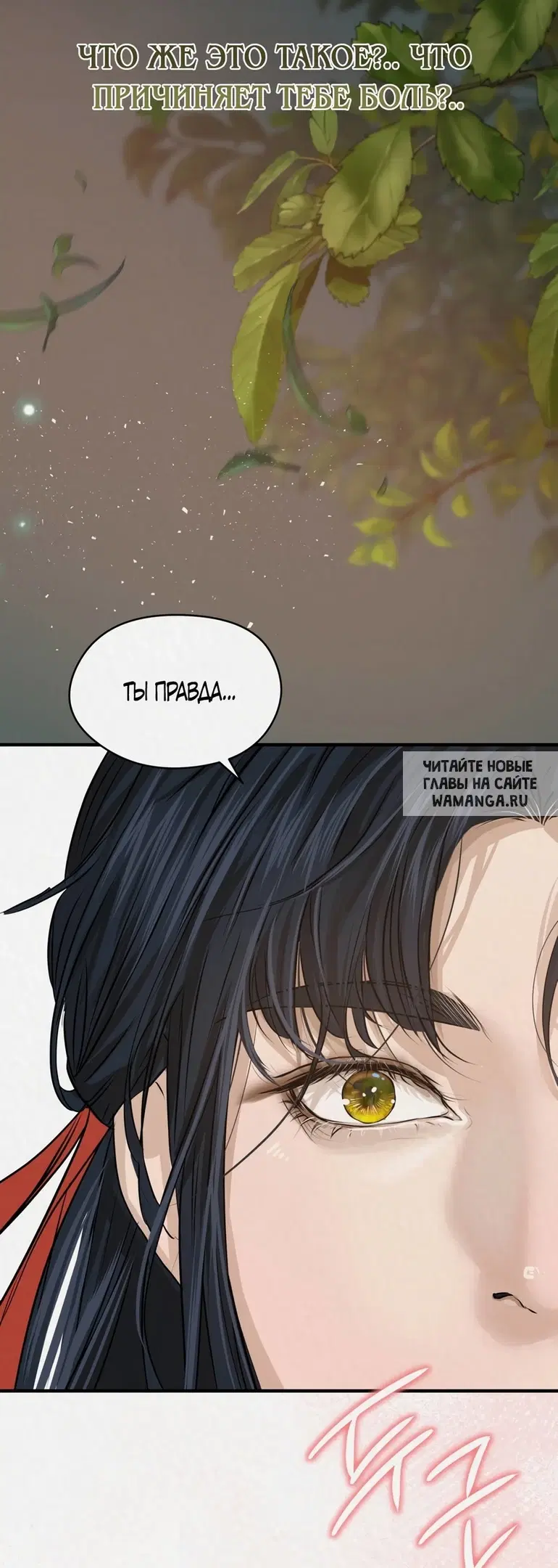 Page 50.000