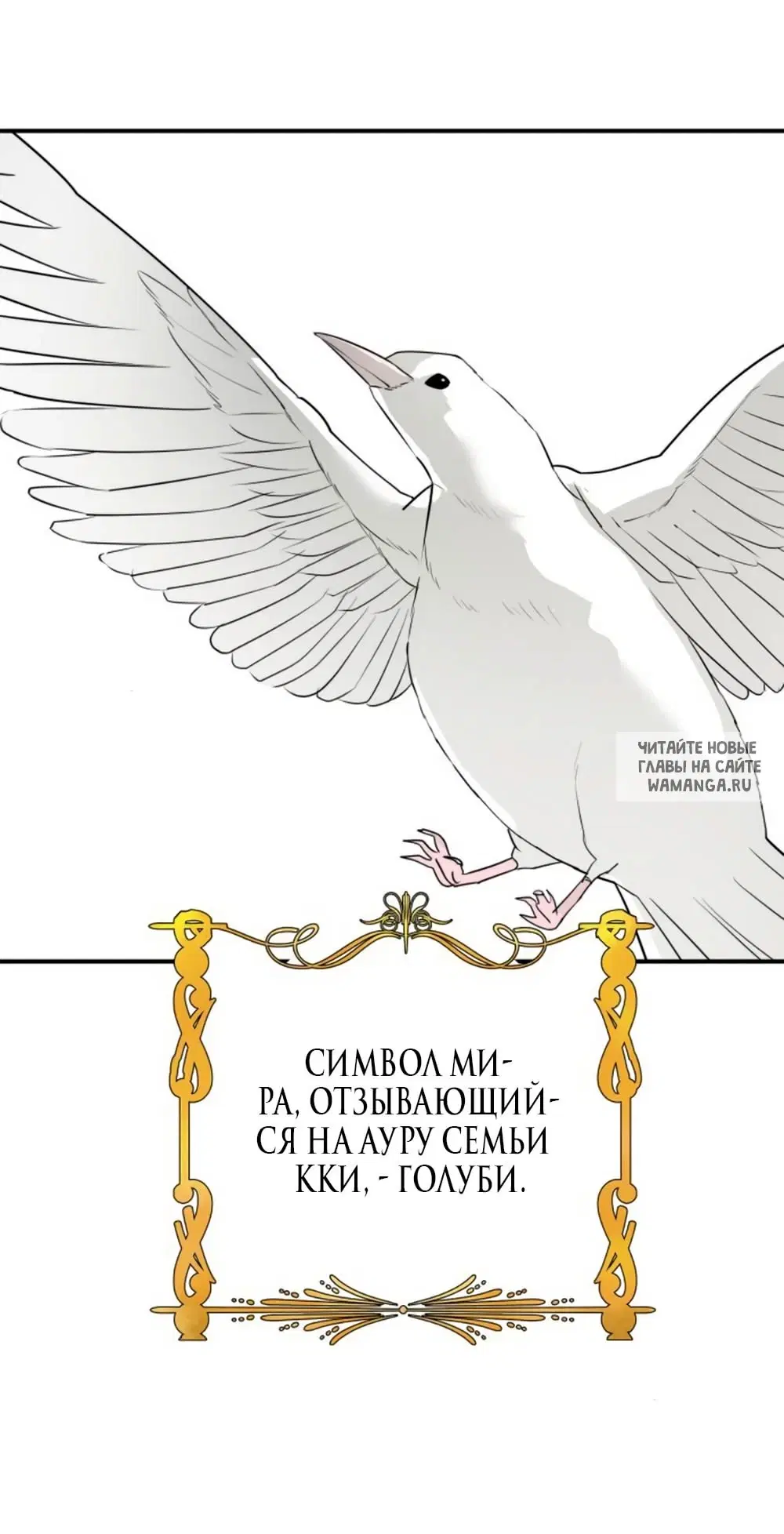 Page 53.000