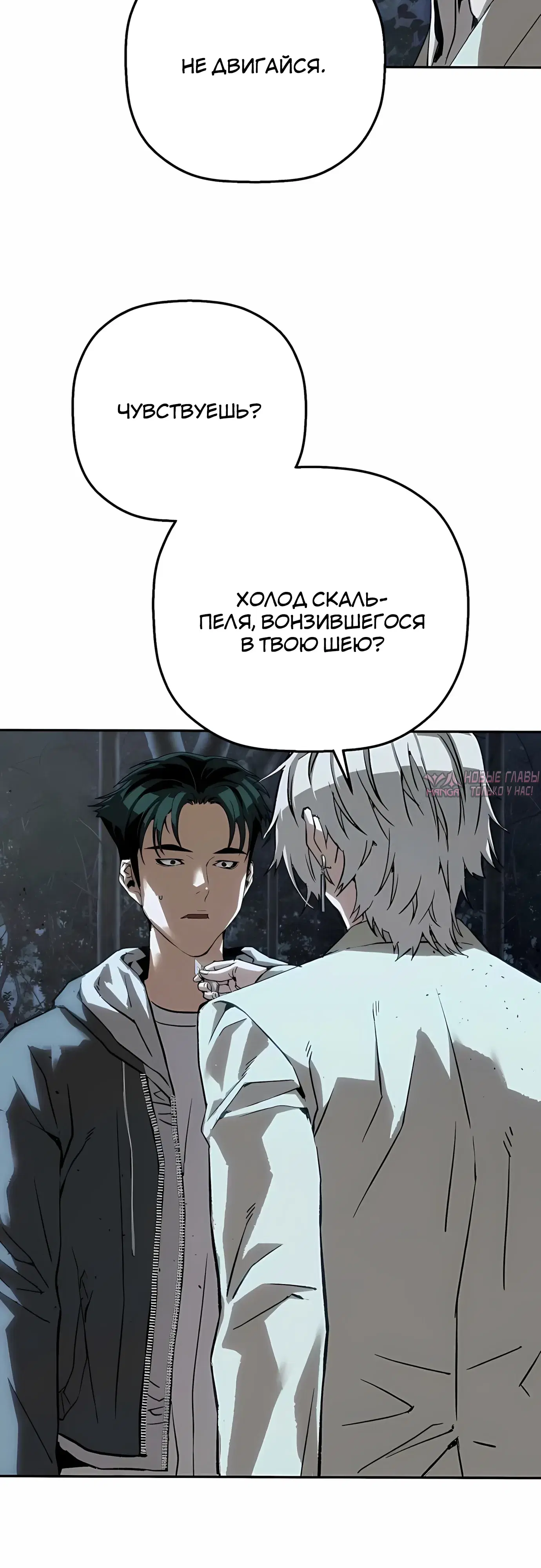 Page 37.000