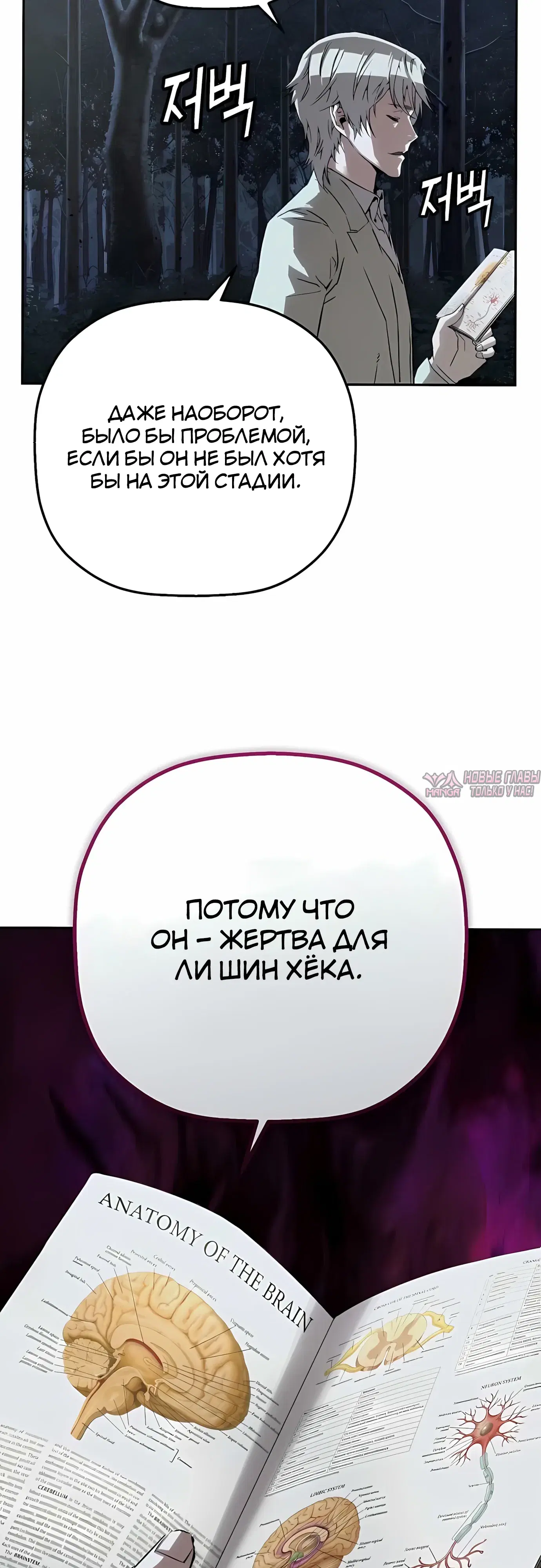 Page 31.000