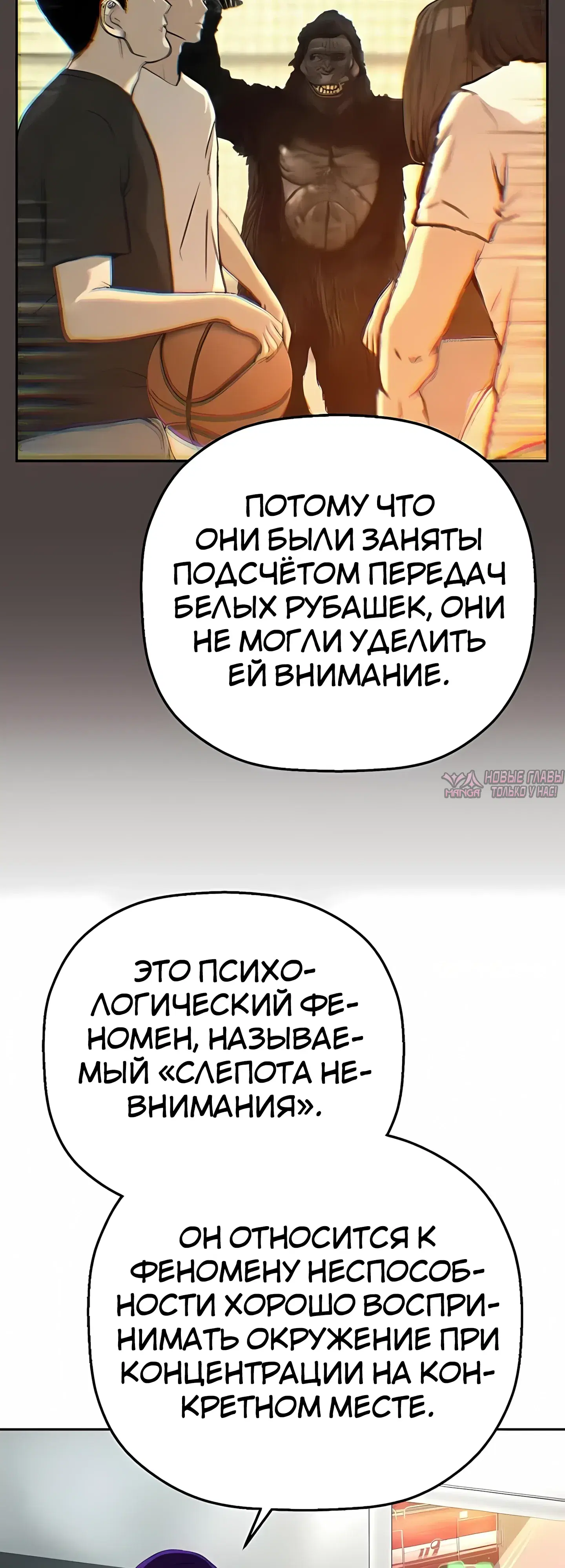 Page 41.000
