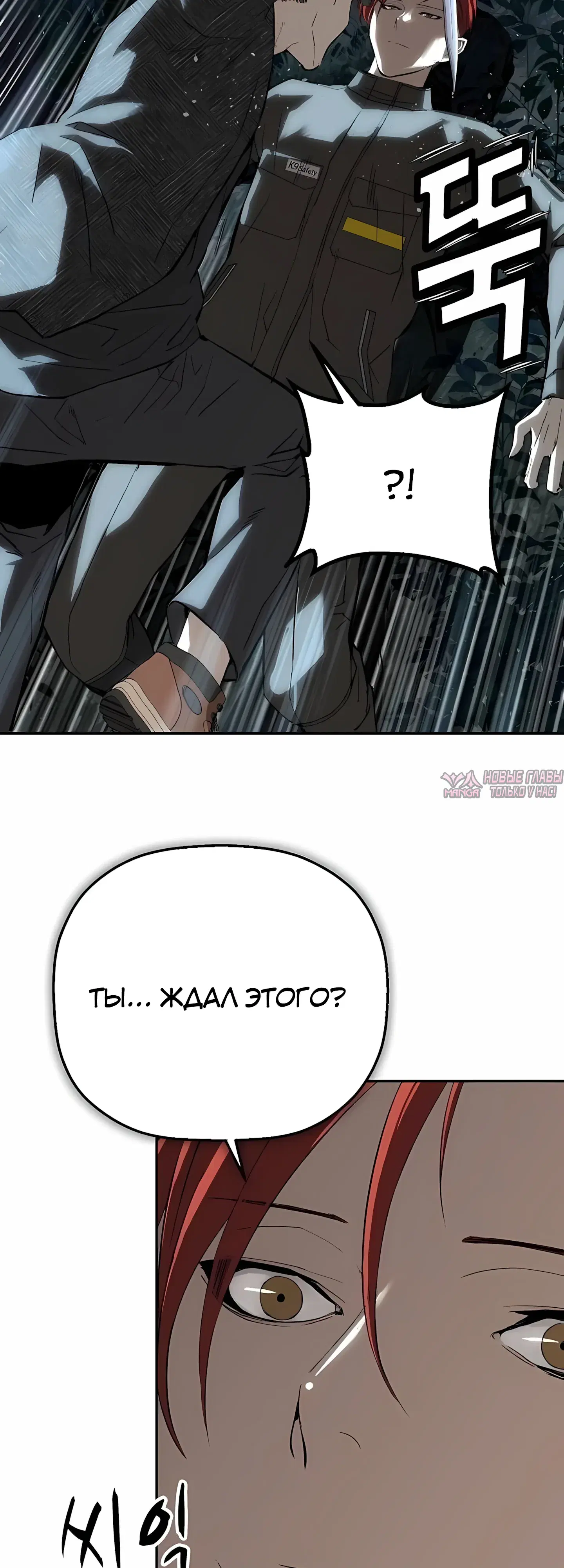 Page 41.000