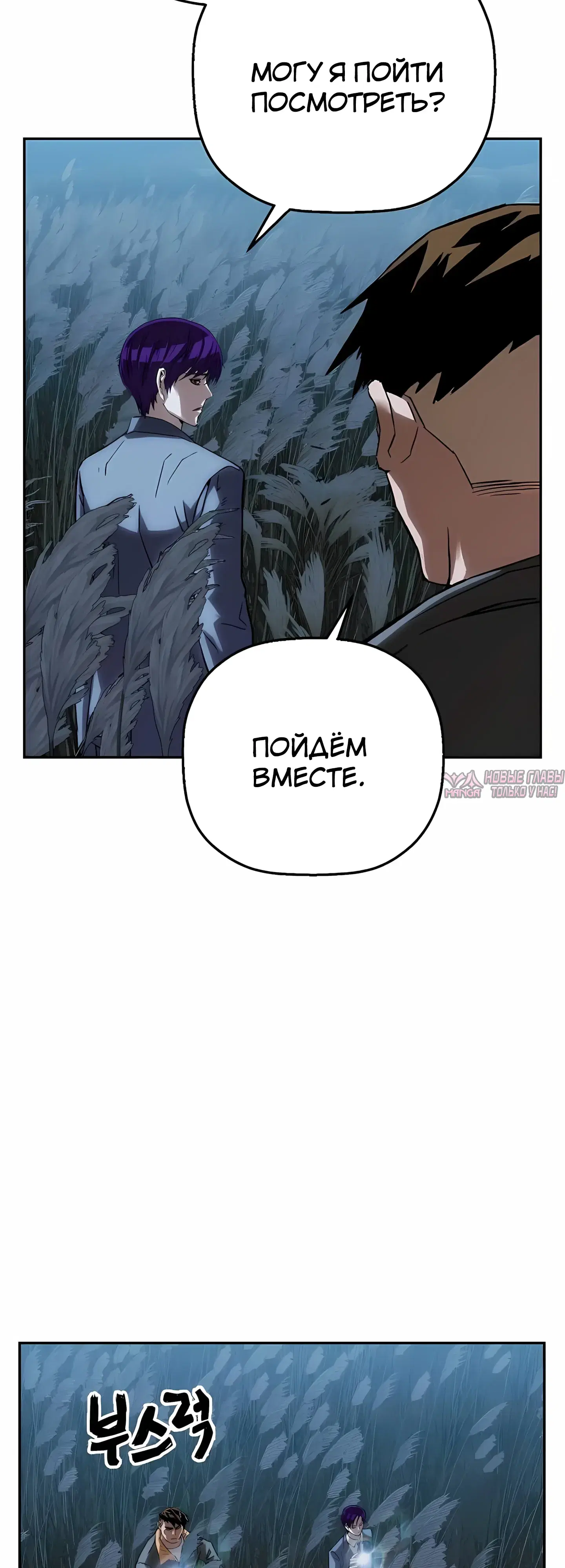 Page 41.000