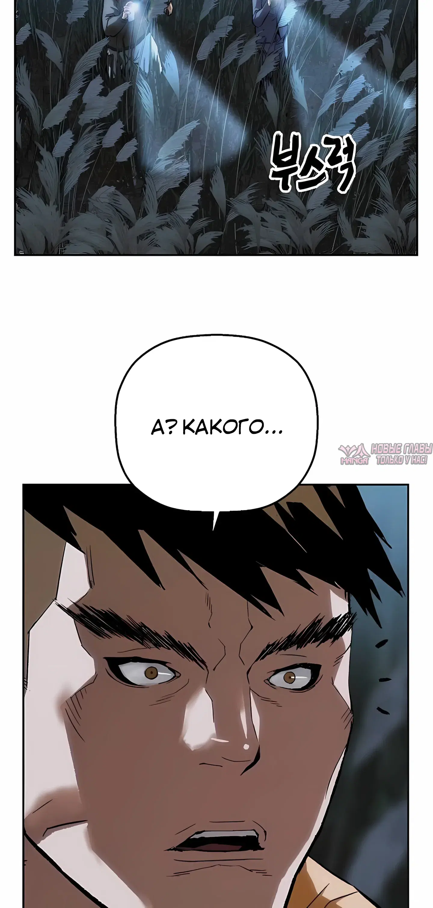 Page 42.000