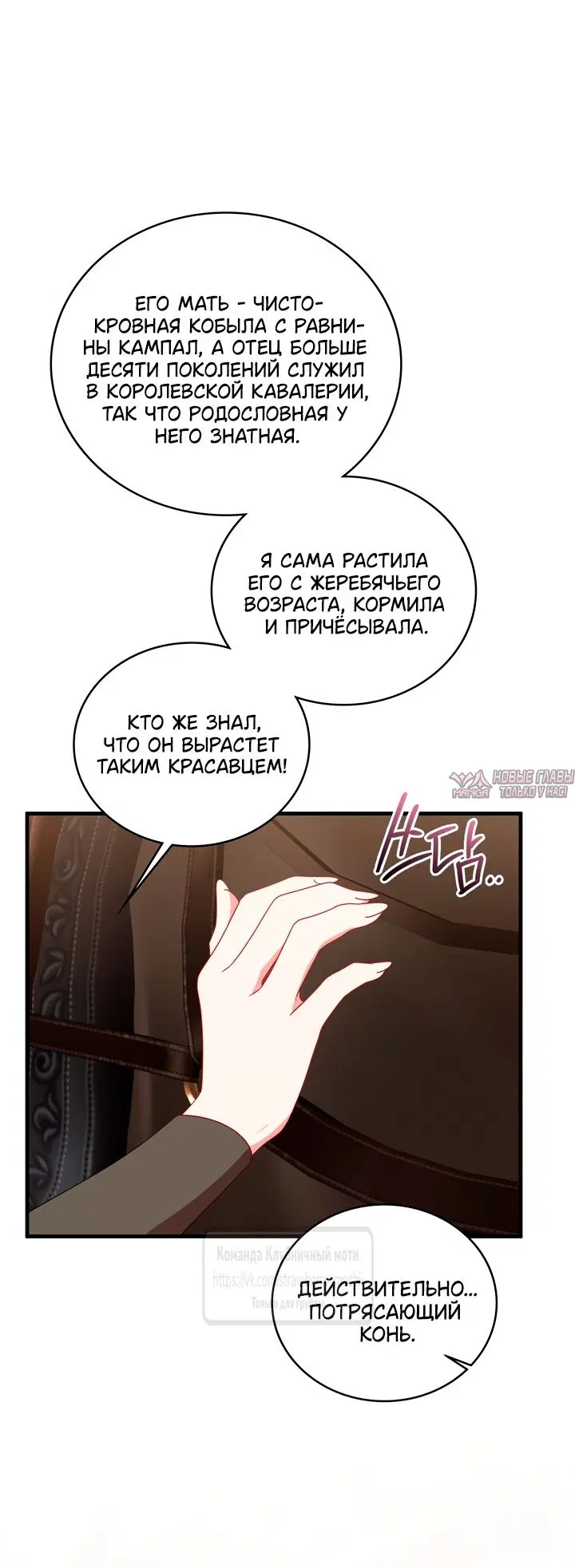 «Встречу тебя там, где кончается ночь», глава 23, страница 54.000000000