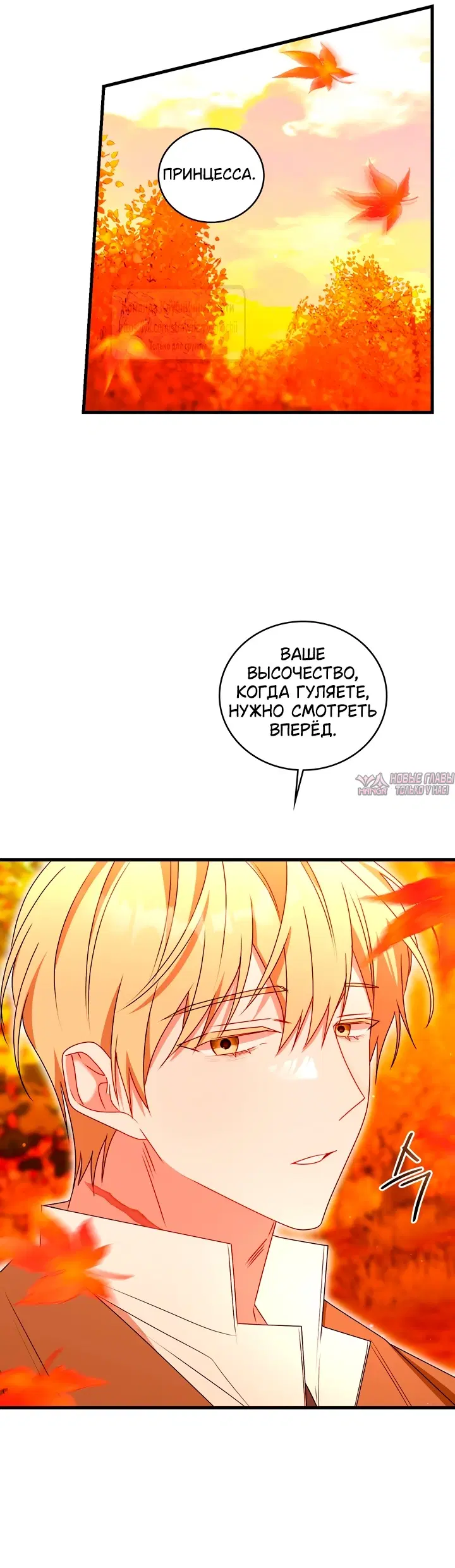 Page 29.000