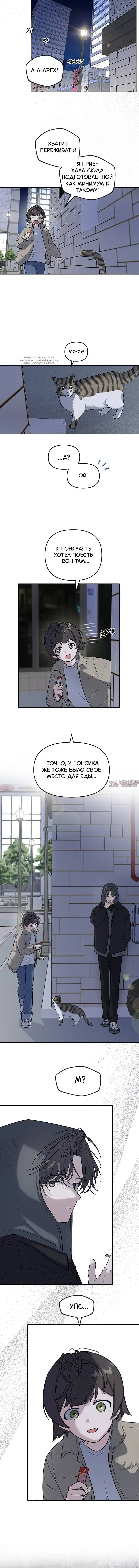Page 11.001