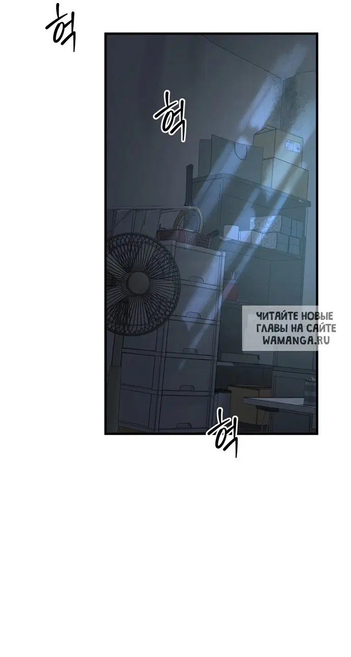Page 50.000