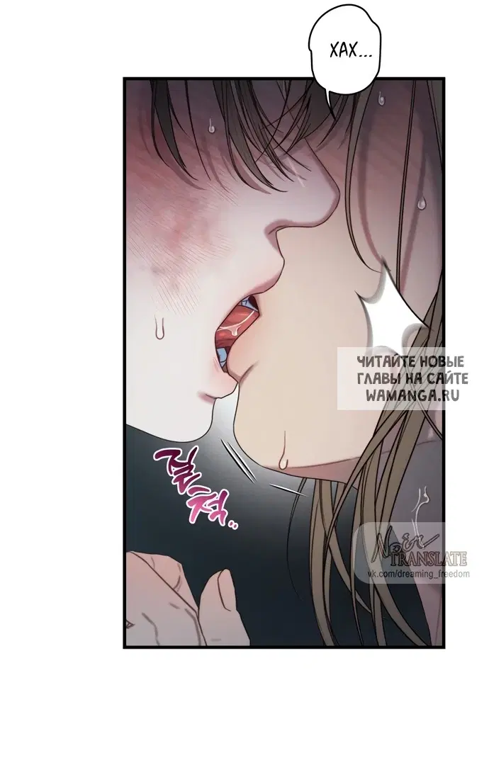 Page 51.000