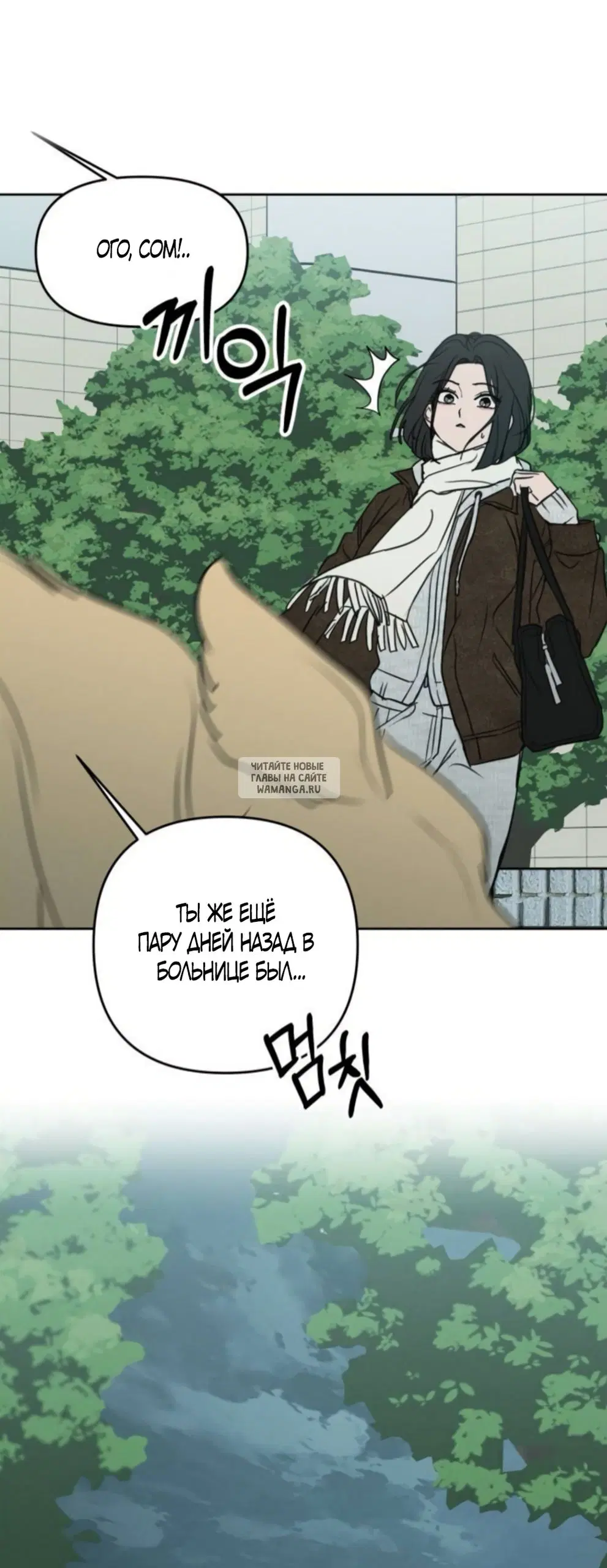 Page 20.000