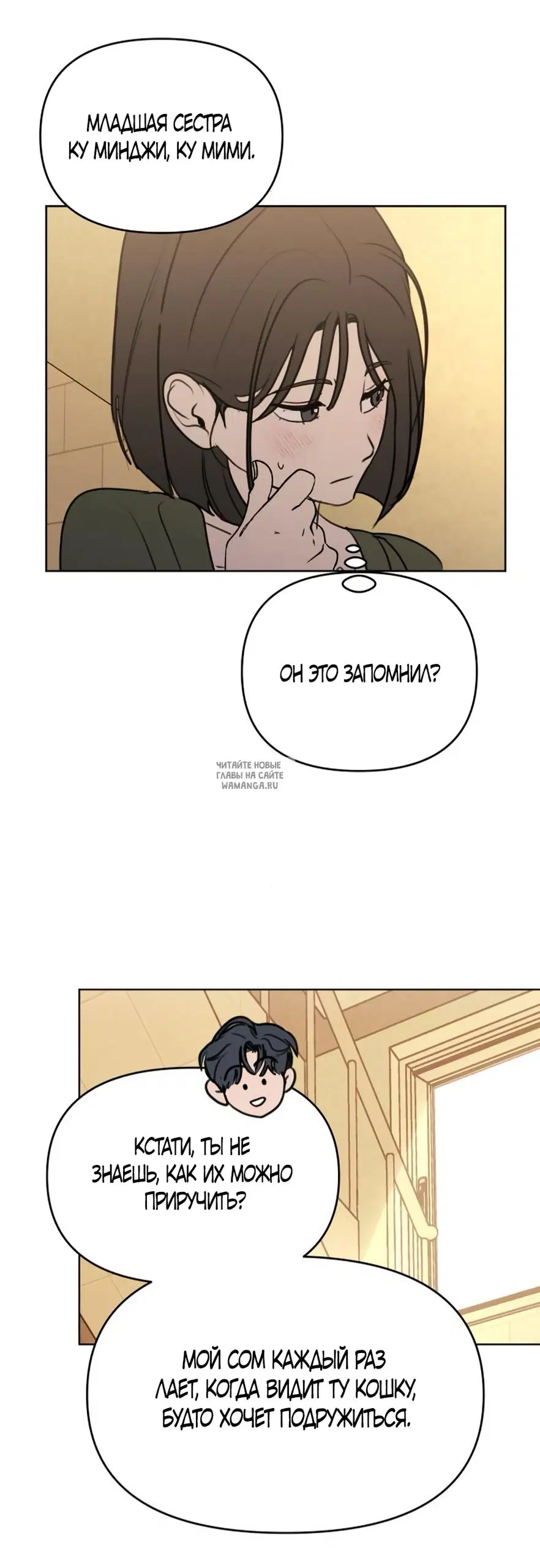 Page 23.000