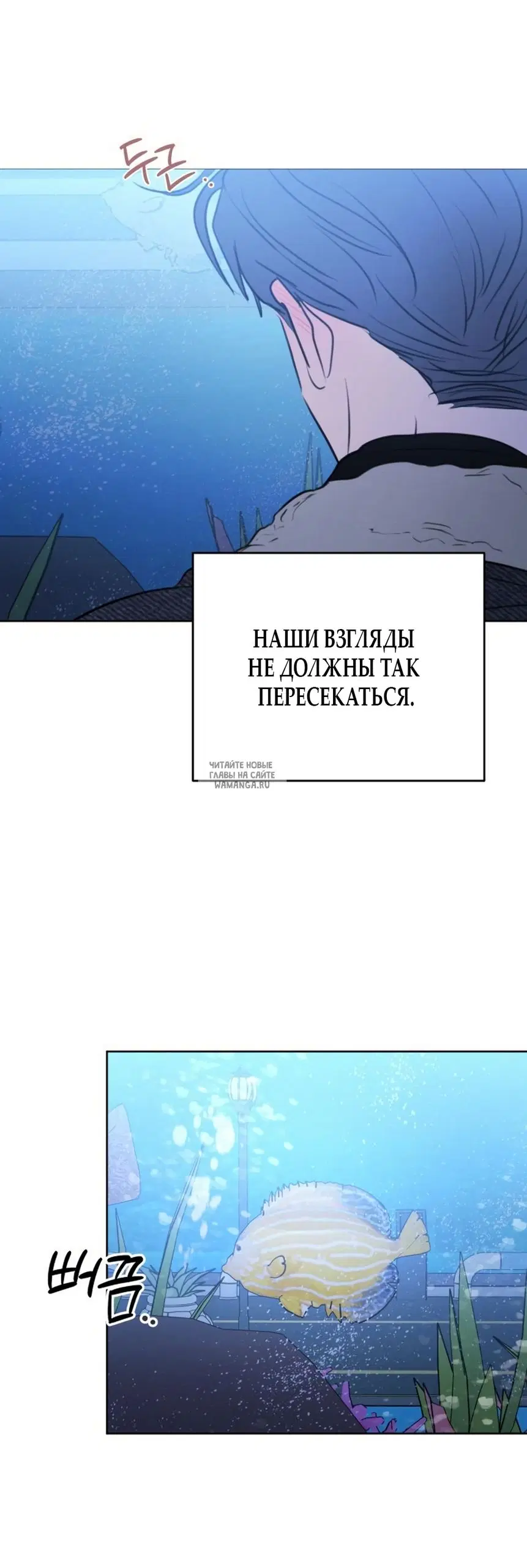 Page 35.000