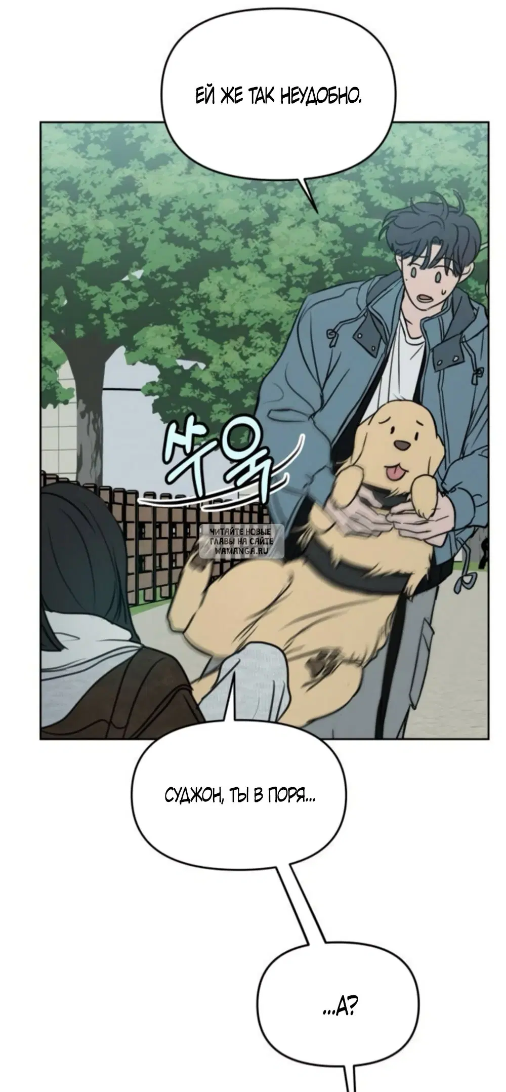 Page 31.000