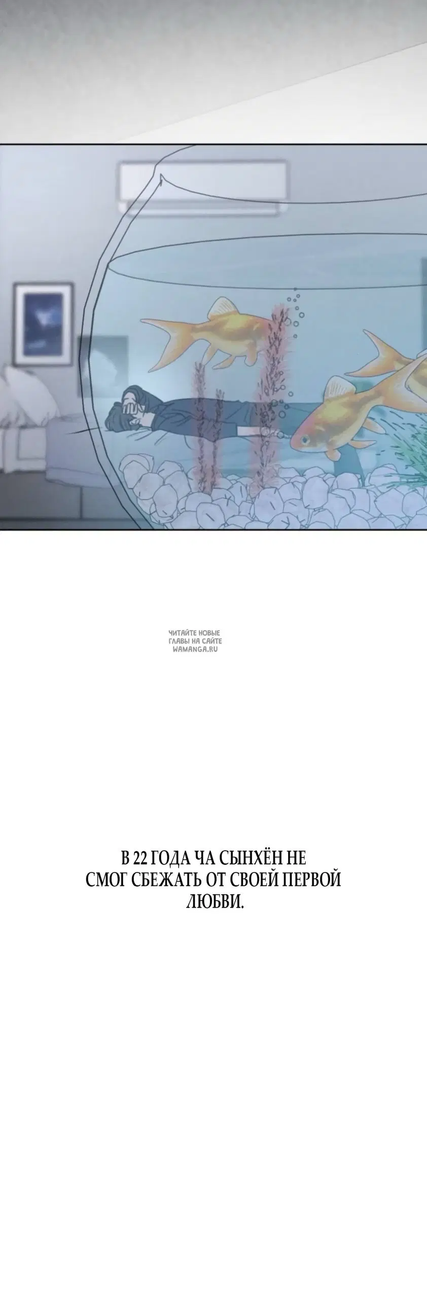 Page 31.000