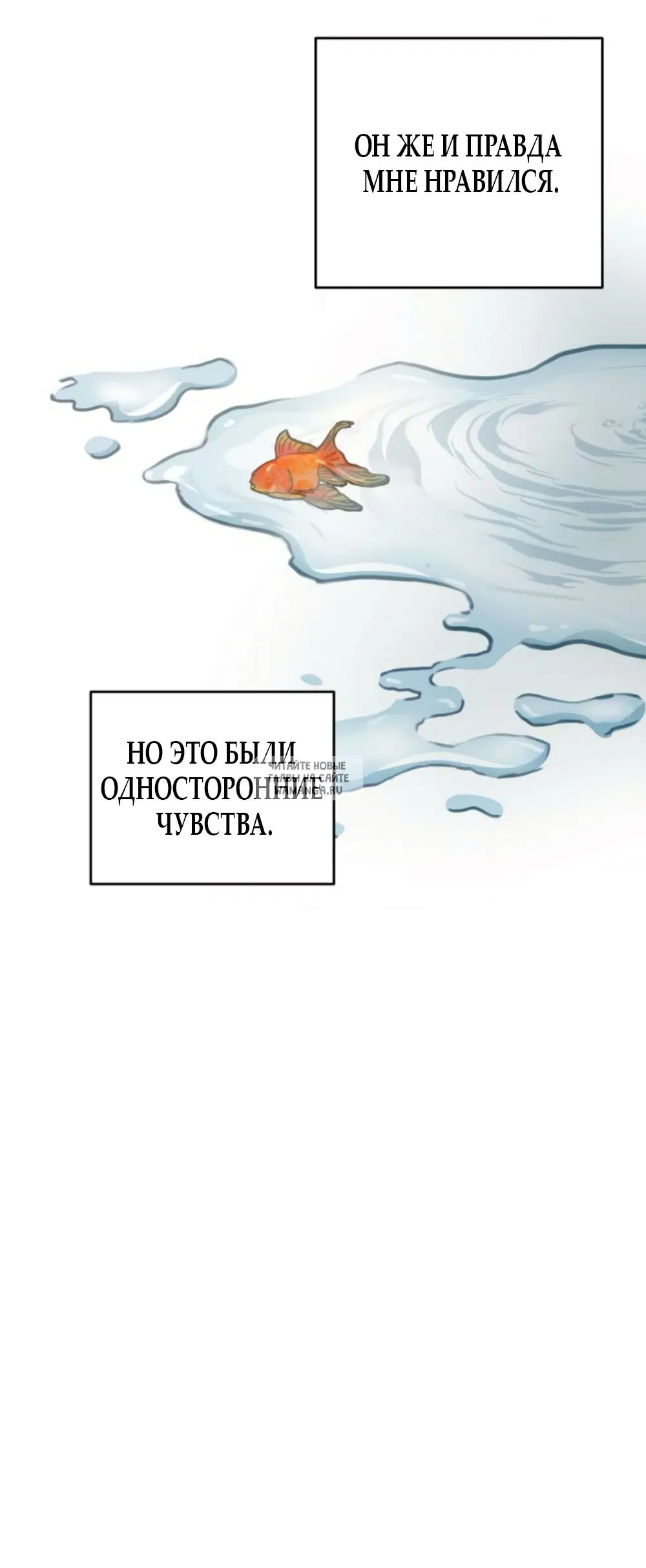 Page 33.000