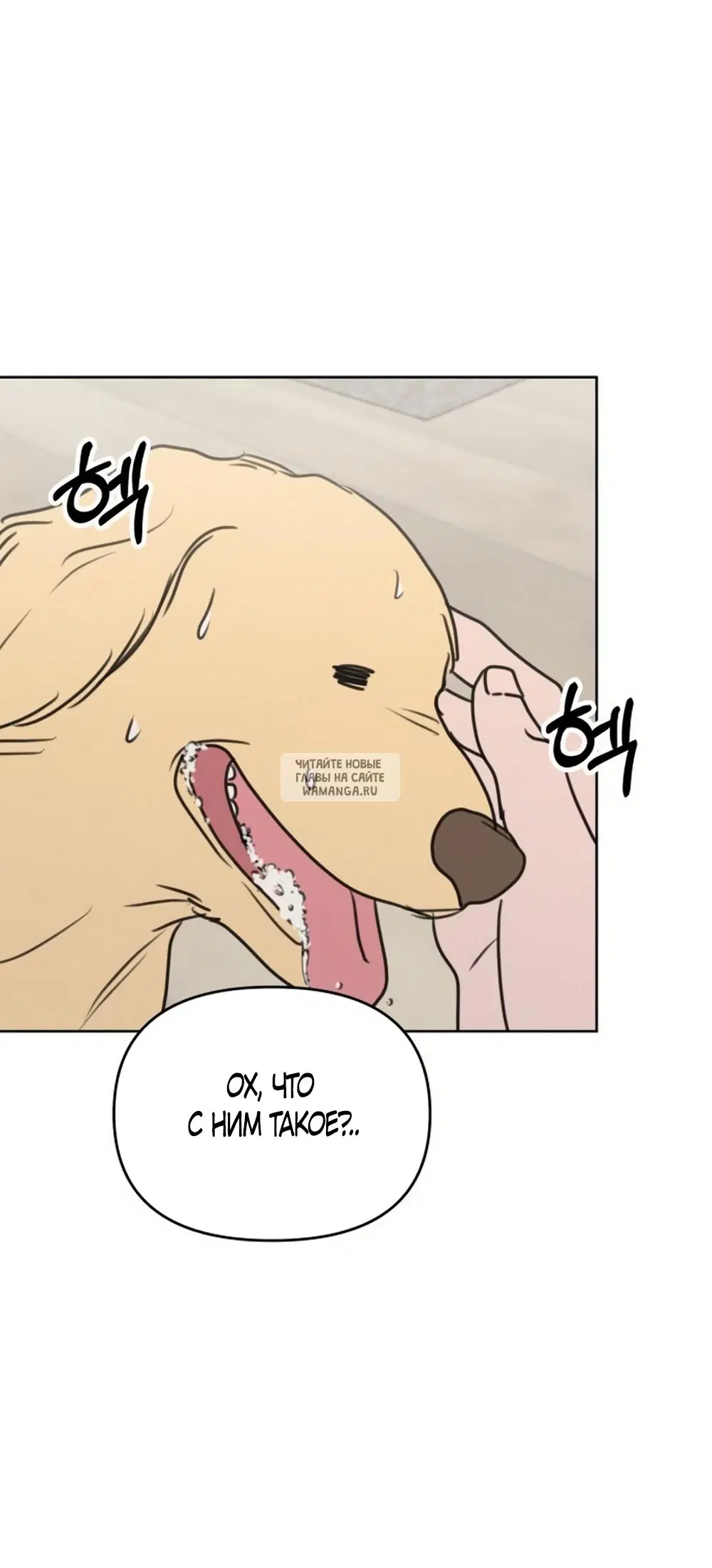Page 46.000