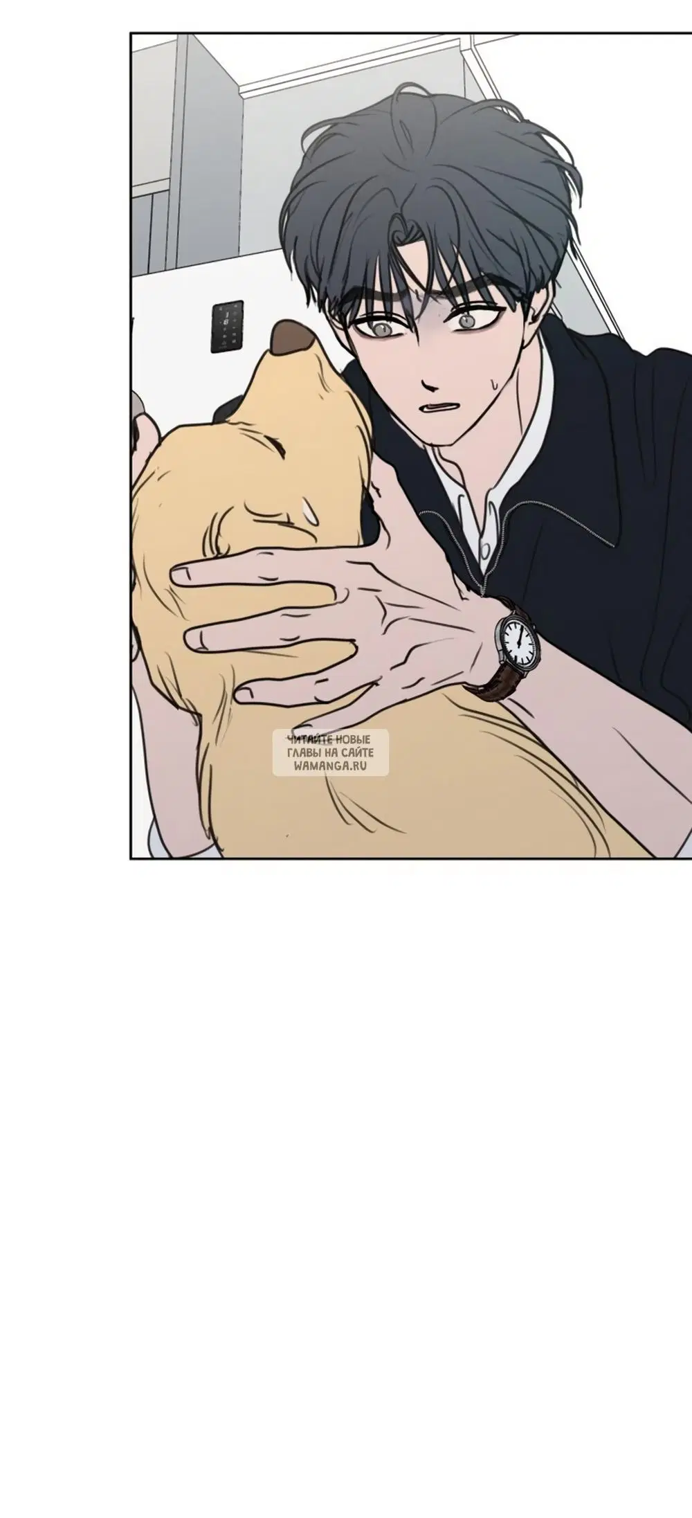 Page 47.000