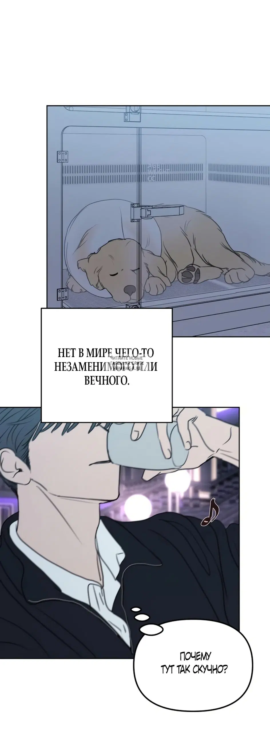 Page 43.000