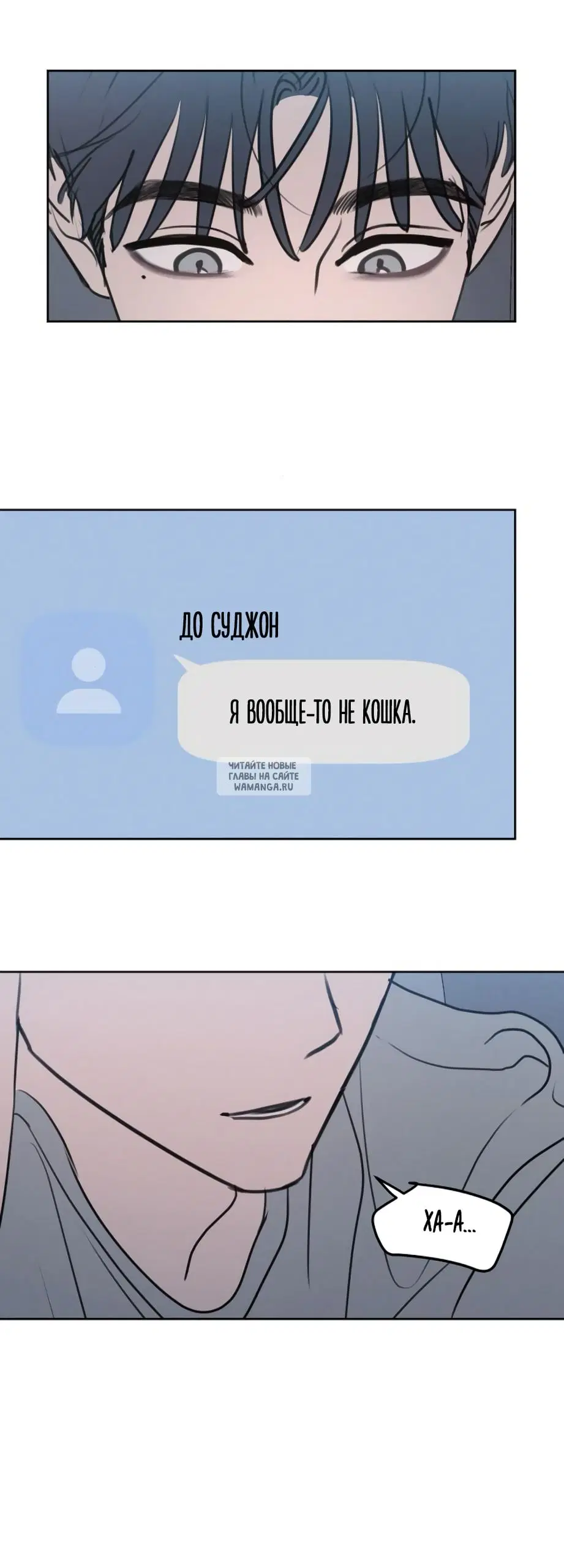 Page 55.000