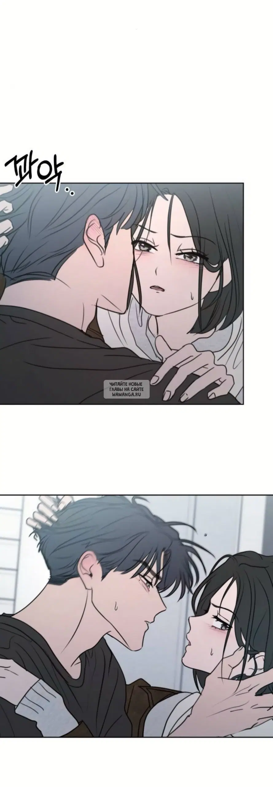 Page 51.000