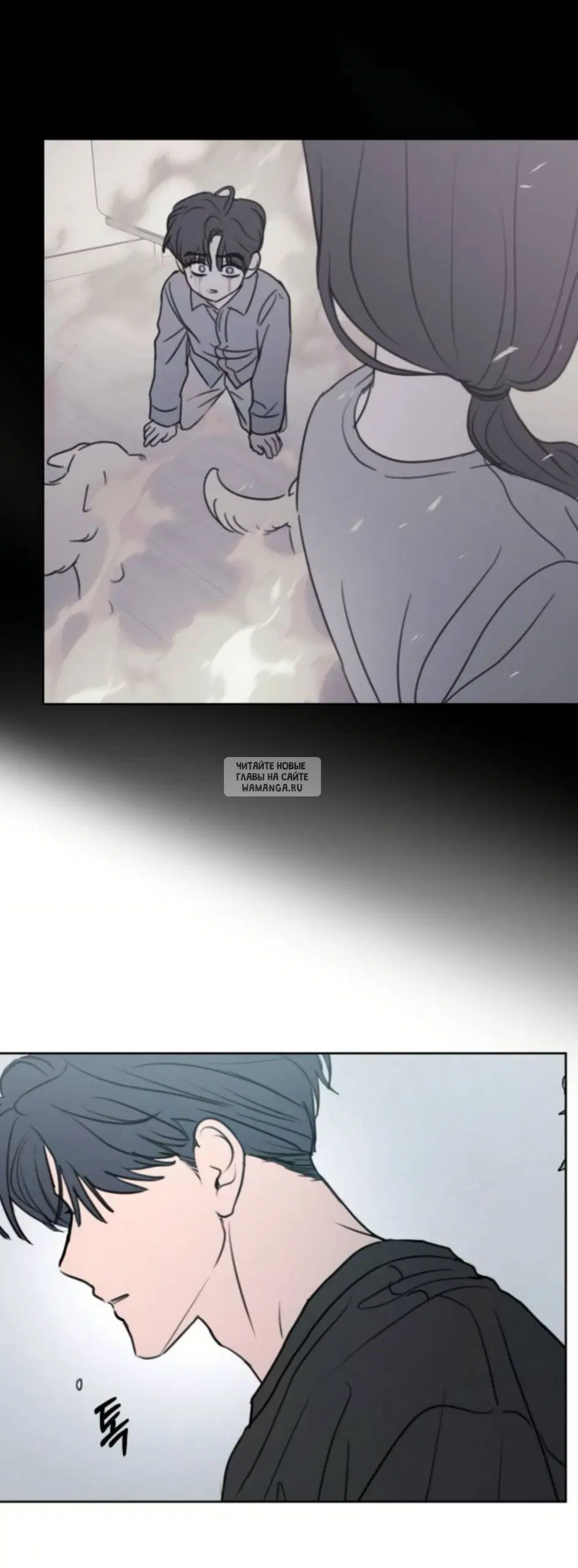 Page 51.000