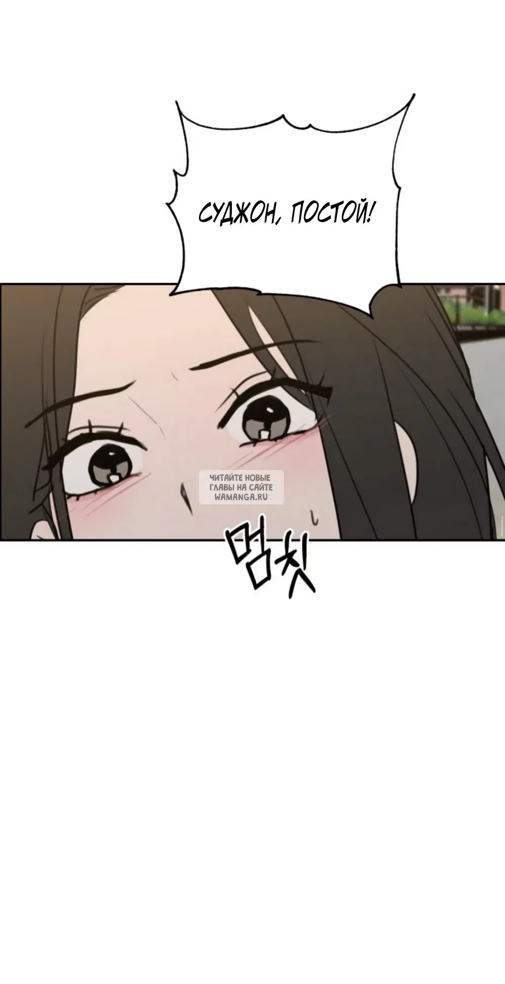 Page 51.000