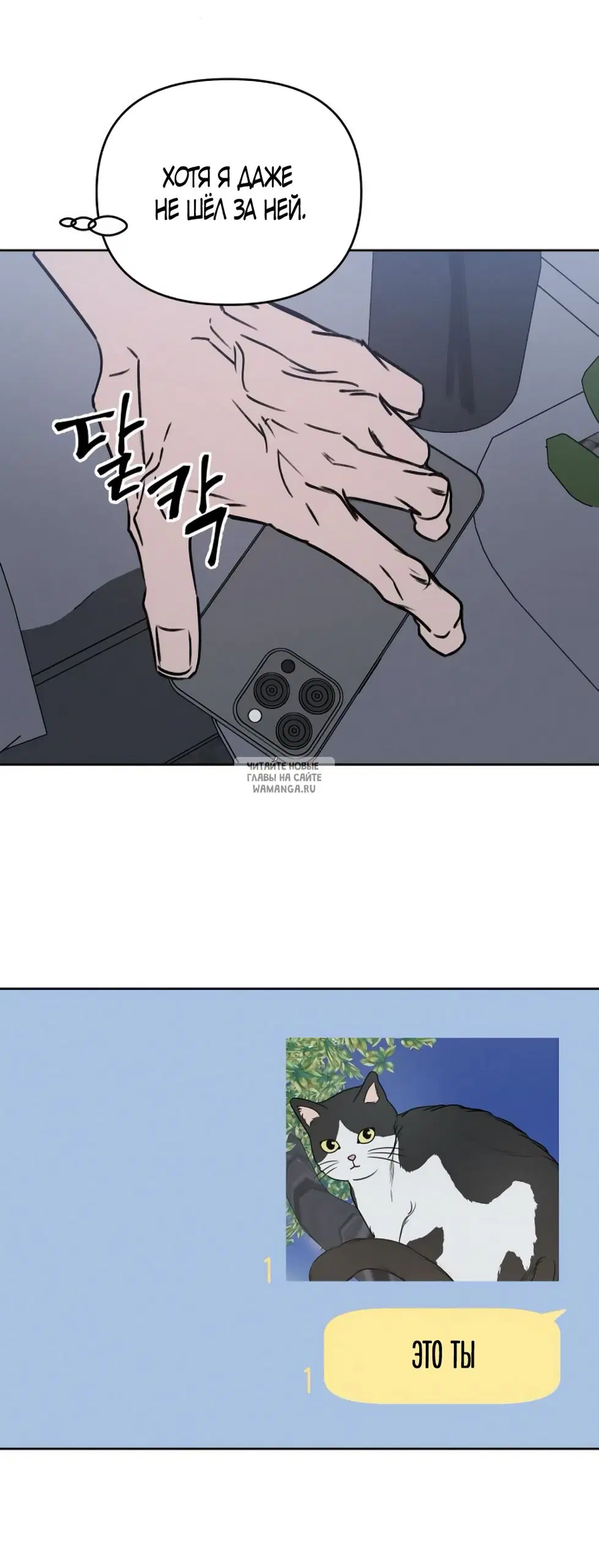 Page 53.000
