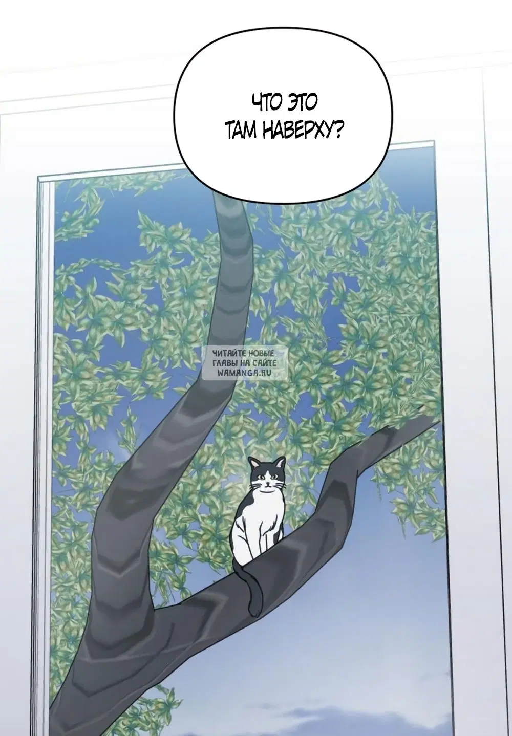 Page 64.000